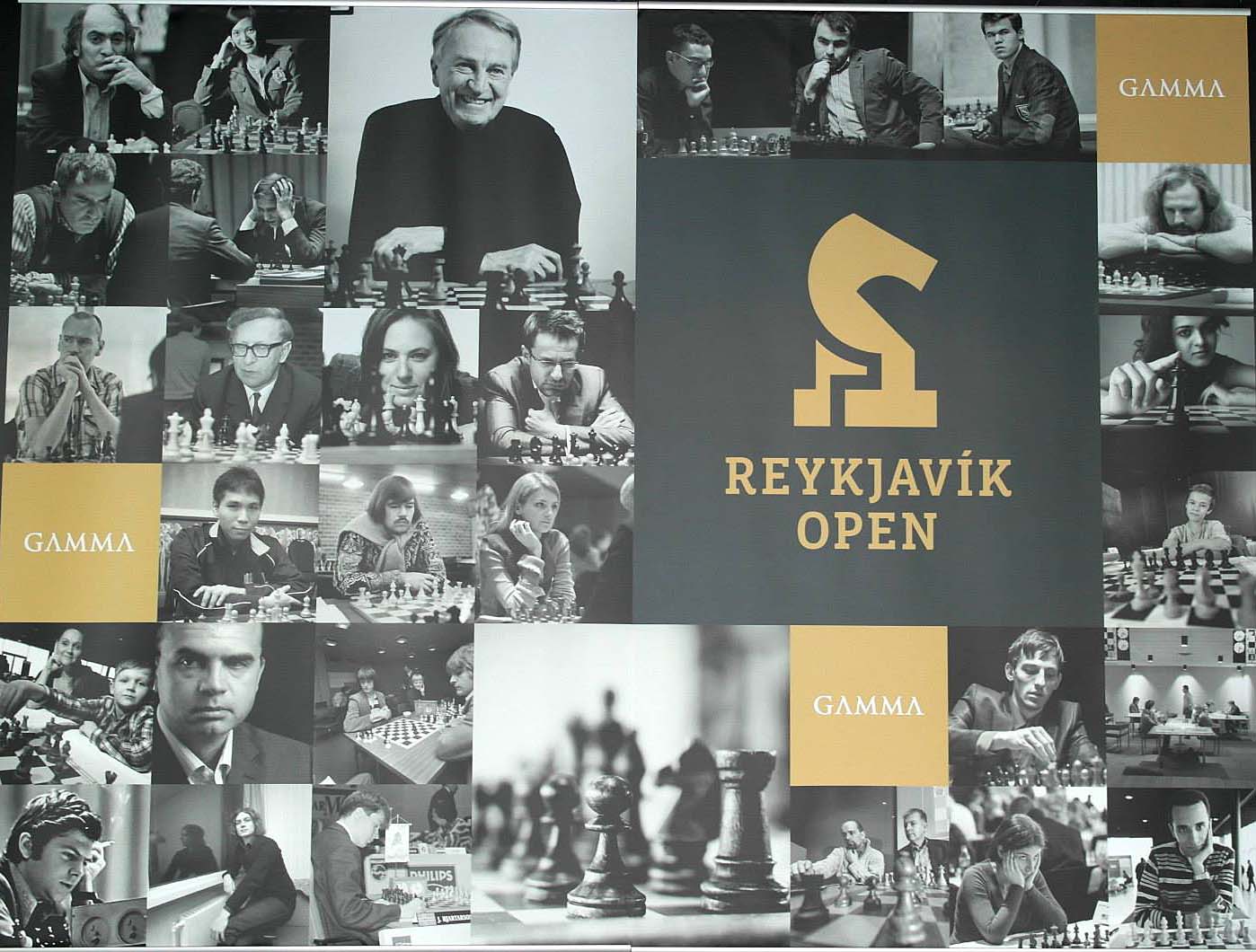Reykjavik open